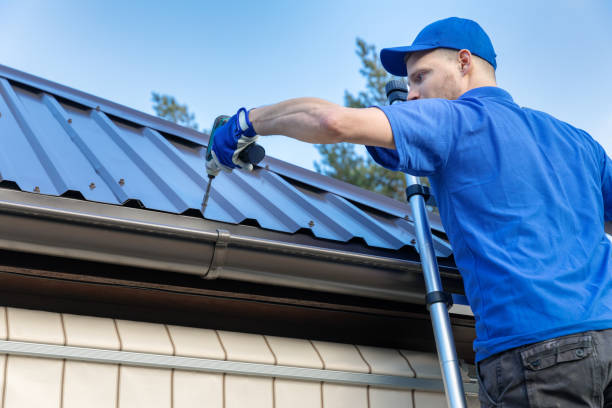 Best Solar Panel Roofing Installation  in Williamsburg, FL
