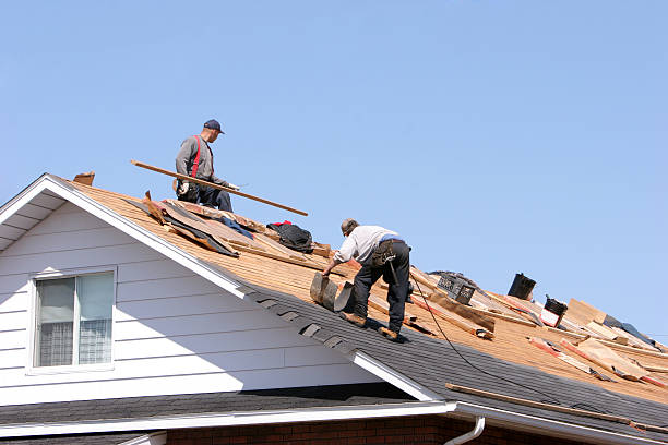 Best Tile Roofing Installation  in Williamsburg, FL