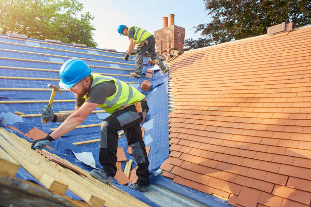 Best Metal Roofing Installation  in Williamsburg, FL